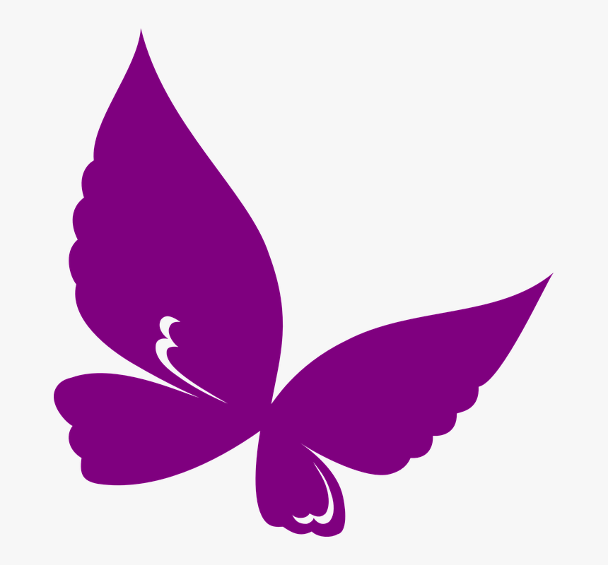Butterfly Outline Png, Transparent Png, Free Download