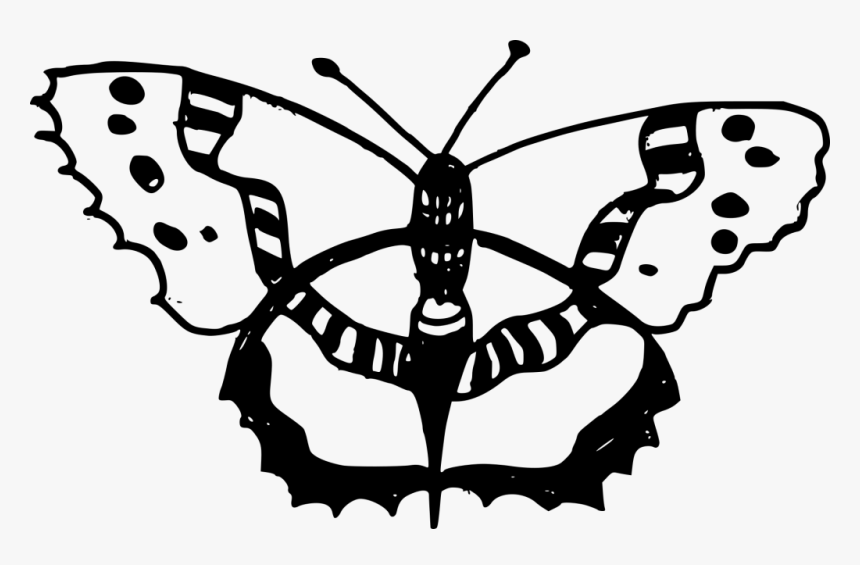 Monarch Butterfly Drawing Clip Art Image, HD Png Download, Free Download