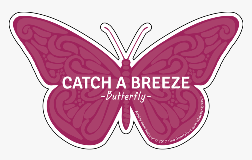 Butterfly Outline Png, Transparent Png, Free Download