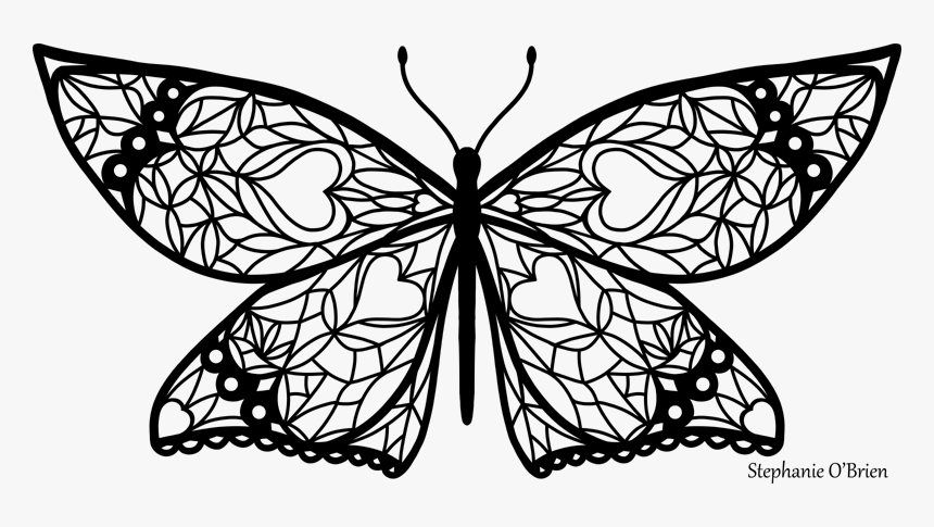 Butterfly Outline Png, Transparent Png, Free Download