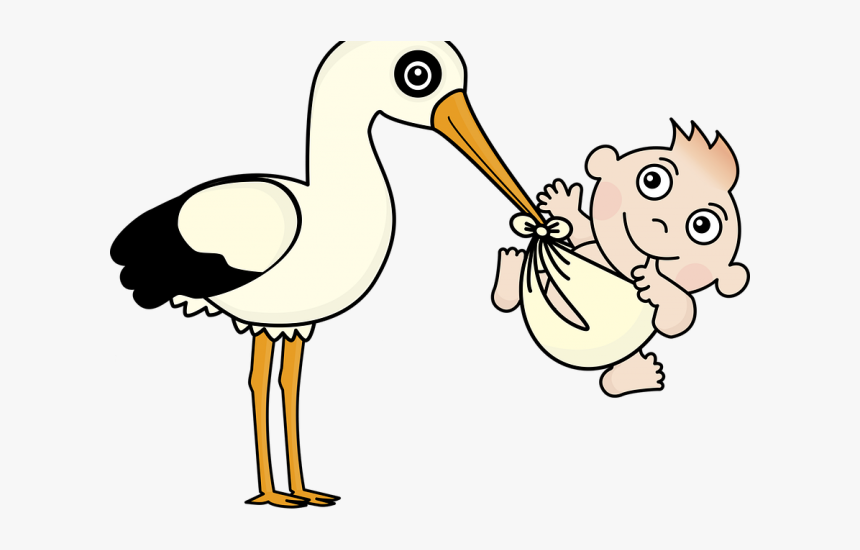 Stork Clipart Baby Vector, HD Png Download, Free Download