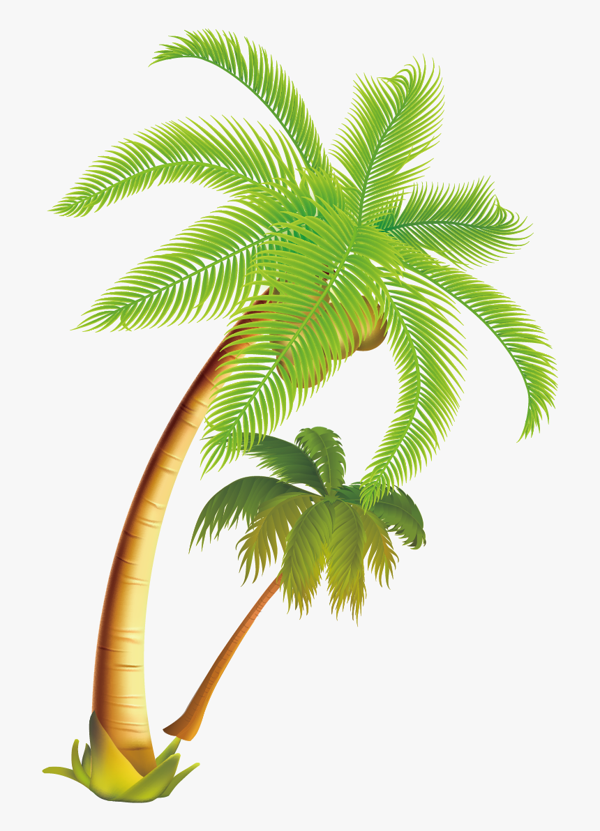 Tropical Vector Plant Australian, HD Png Download, Free Download
