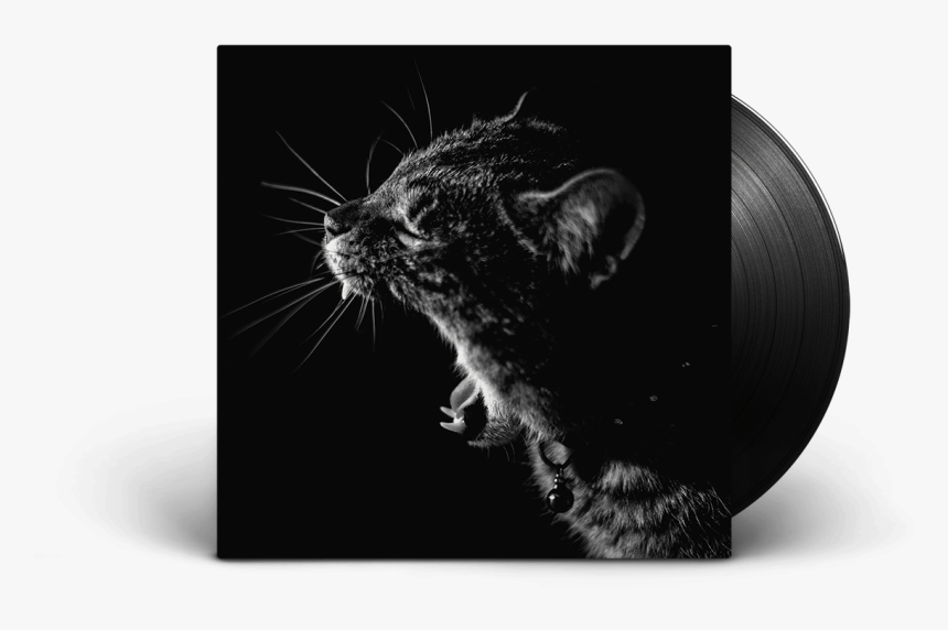 Album Png, Transparent Png, Free Download