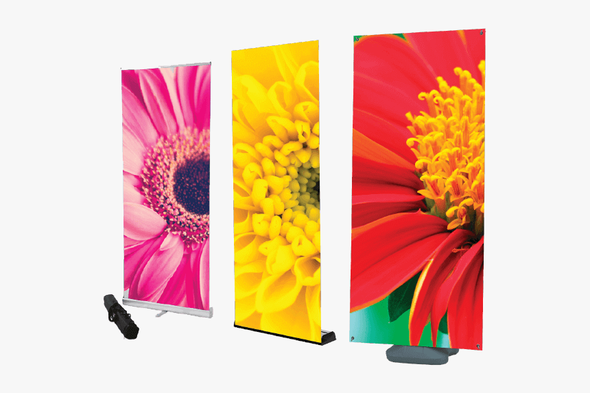 Floral Banner Png, Transparent Png, Free Download