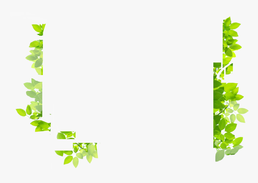 Floral Banner Png, Transparent Png, Free Download
