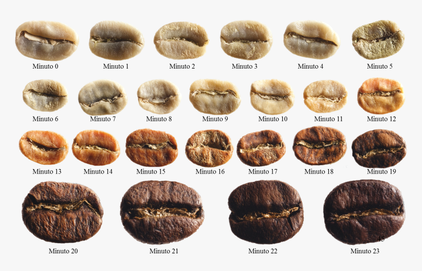 Granos De Cafe, HD Png Download, Free Download