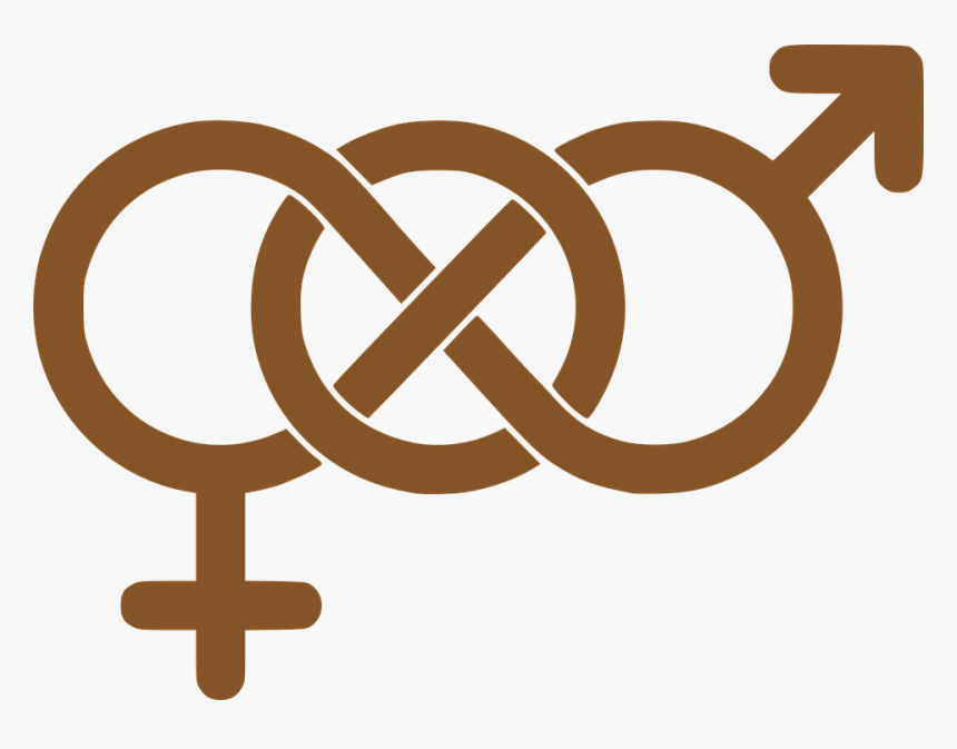 Male, Female, Symbols, Intertwined, Combined, Coupled, HD Png Download, Free Download