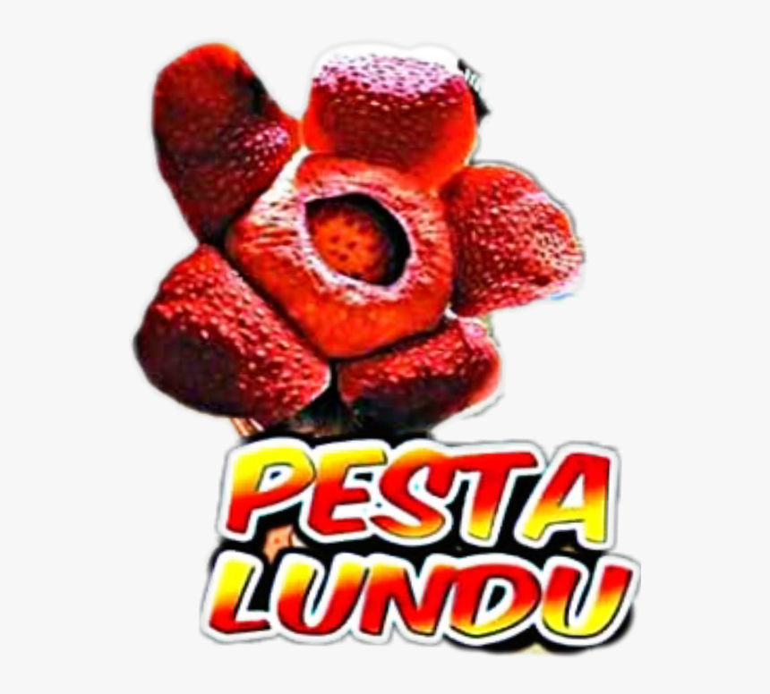 #pesta, HD Png Download, Free Download