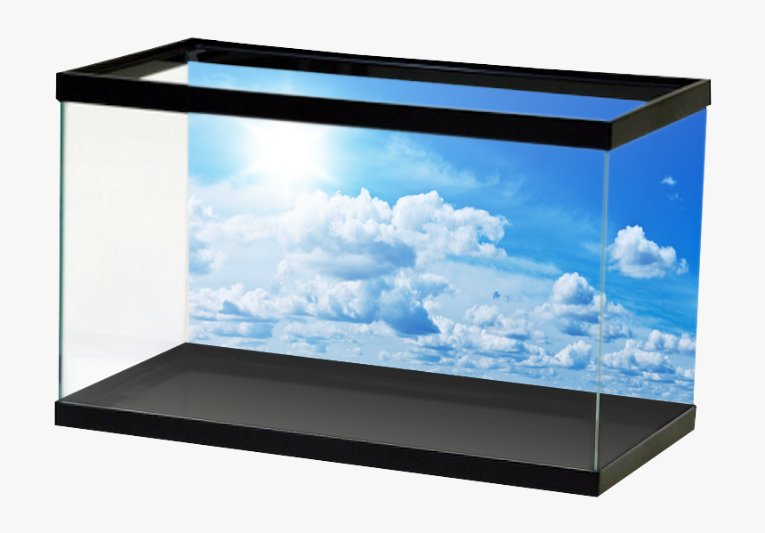 Aquariumvinyl Animation 10, HD Png Download, Free Download