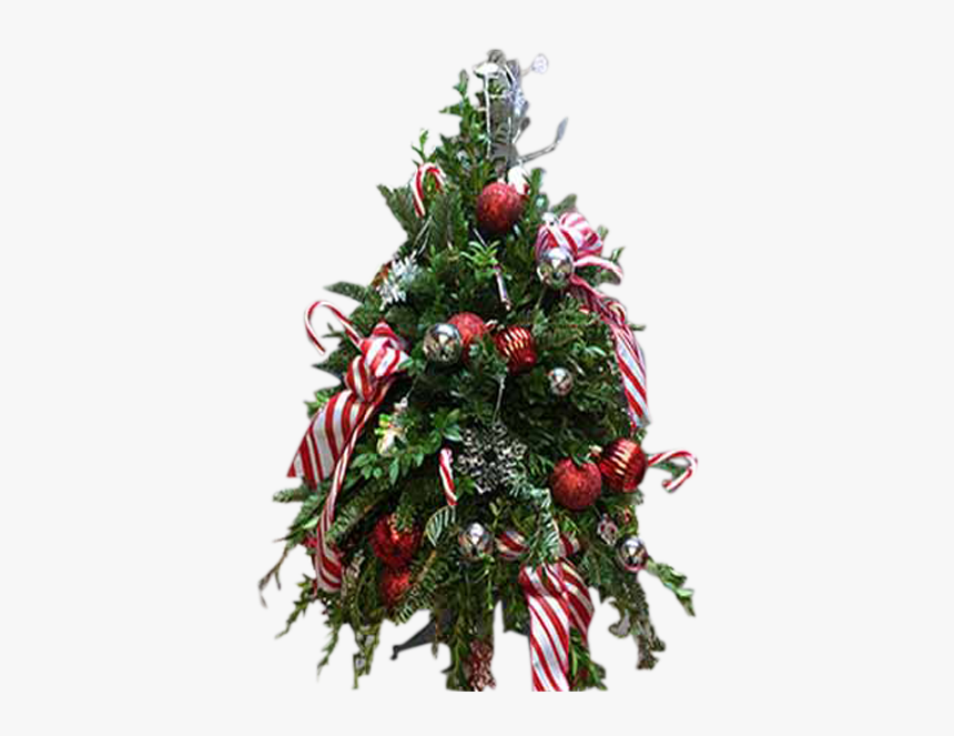 Christmas Flower Png, Transparent Png, Free Download