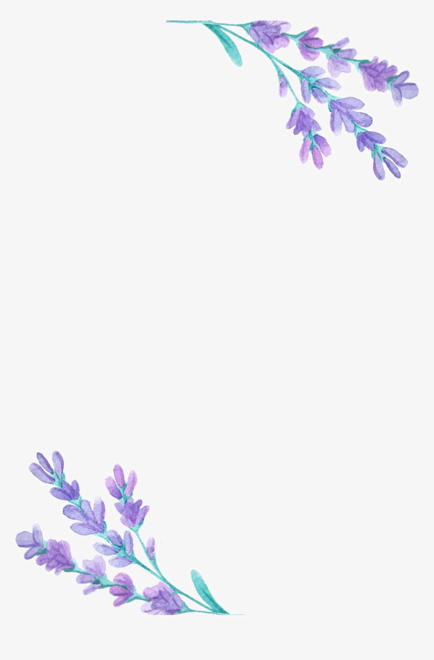 Transparent Lavender Plant Clipart, HD Png Download, Free Download
