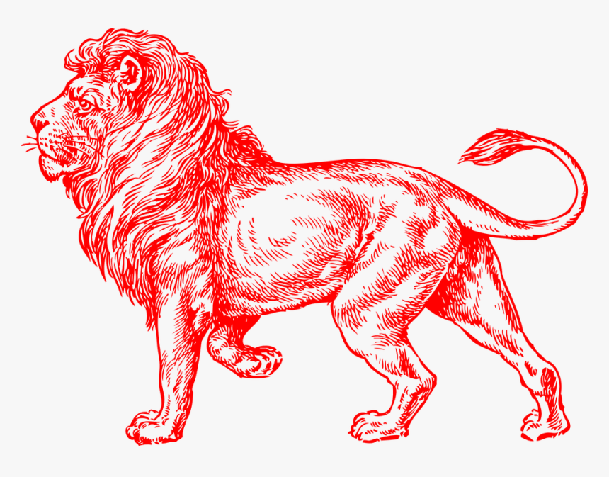 Lion, Red, Male, United, Kingdom, England, Paw, Tail, HD Png Download, Free Download