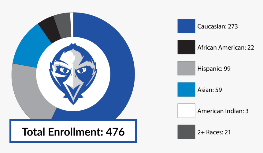 Total Enrollment 476 Caucasian 273 African American, HD Png Download, Free Download