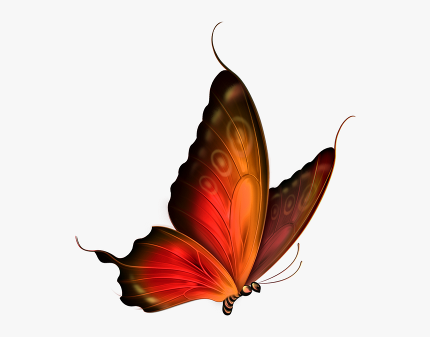 Бабочка, Насекомое, Butterfly, Insect, Schmetterling,, HD Png Download, Free Download