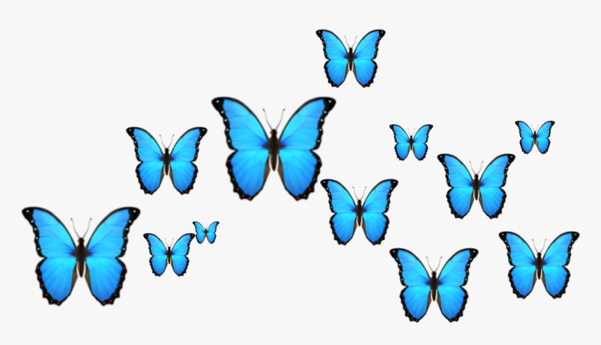 #crown #butterfly #borboleta #emoji #dudahmt #tumblr, HD Png Download, Free Download