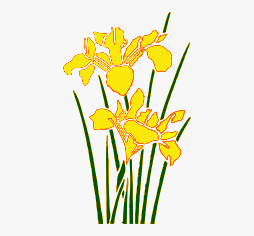 Daffodil Cartoon 7, Buy Clip Art, HD Png Download, Free Download