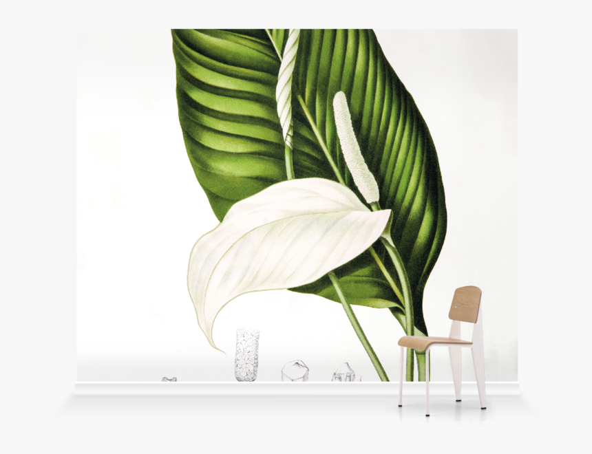 Mural Png, Transparent Png, Free Download