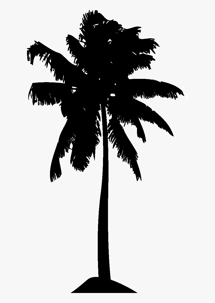 Palm Tree Set Png, Transparent Png, Free Download