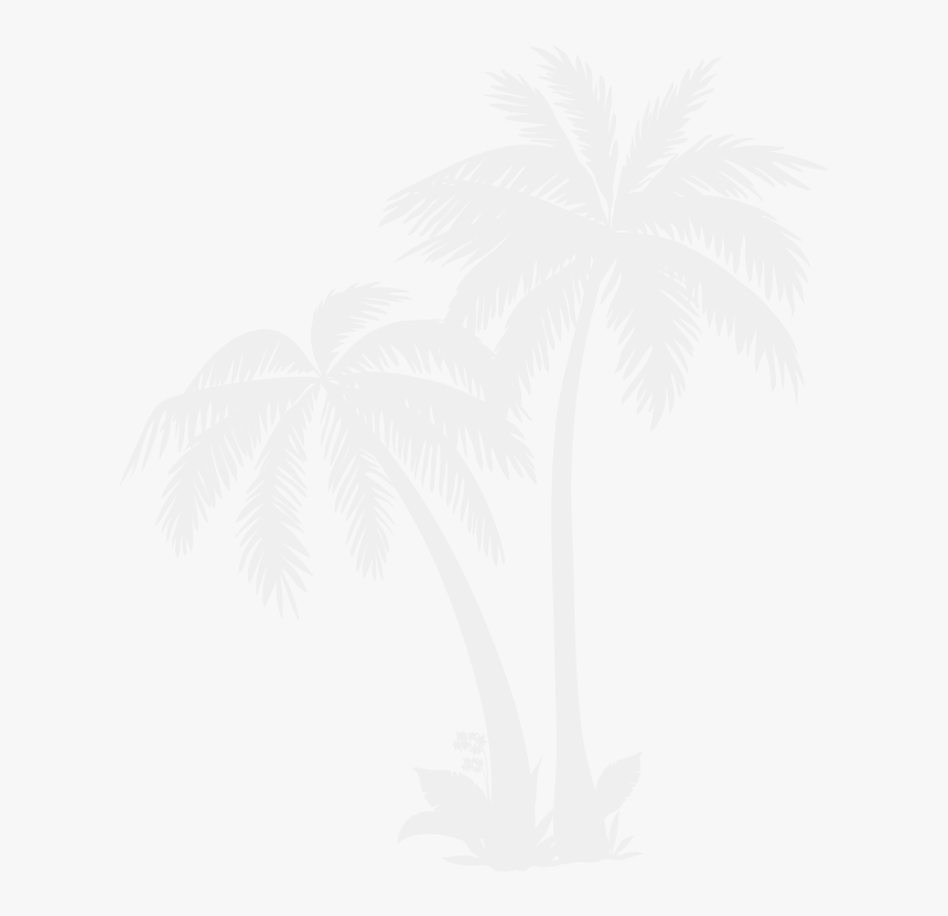 White Palm Tree Png, Transparent Png, Free Download