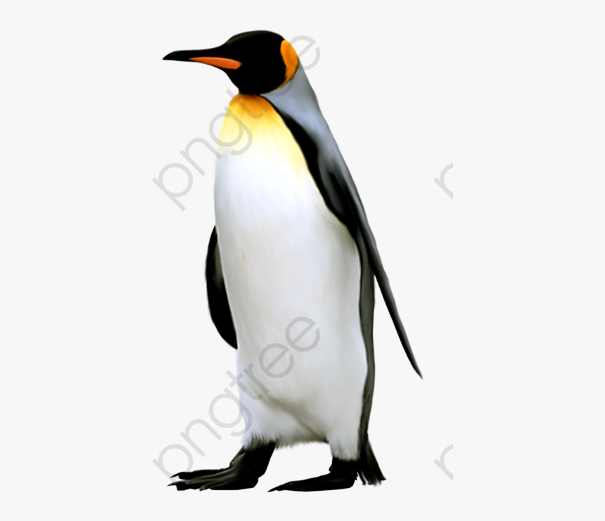 Hand Painted Penguins South, HD Png Download, Free Download