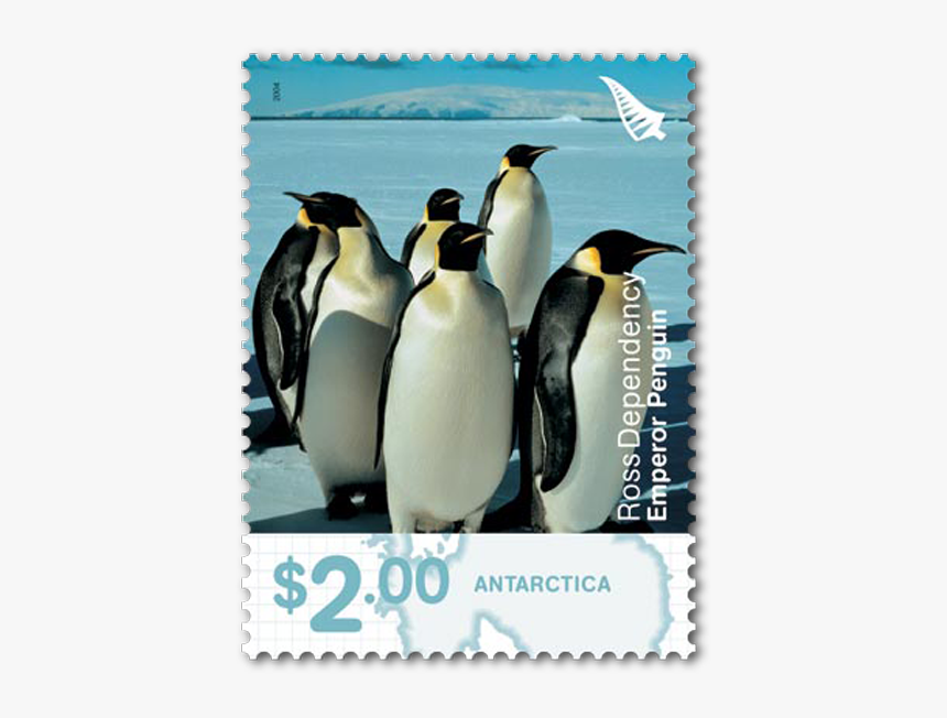 Emperor Penguin Png, Transparent Png, Free Download