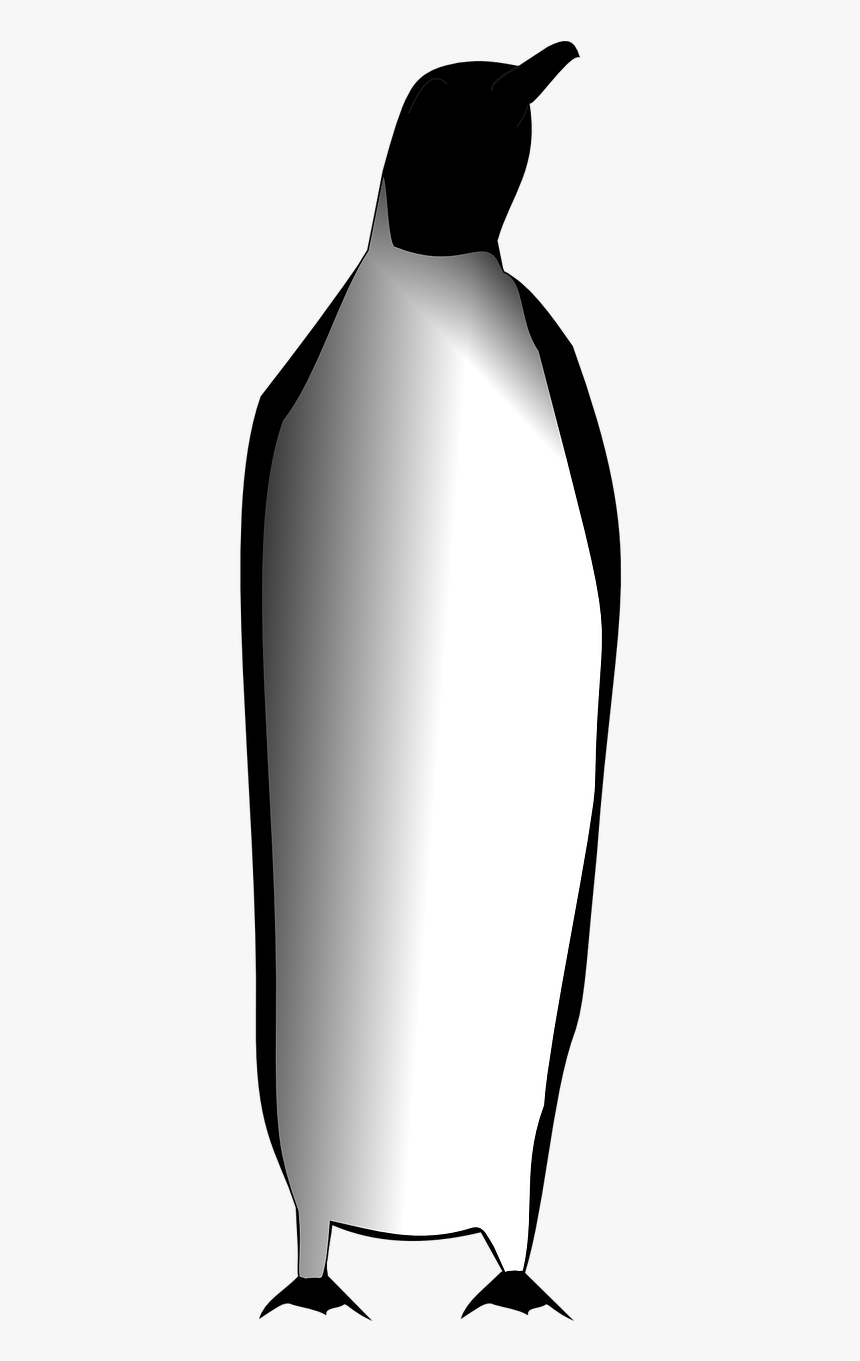 Emperor Penguin Png, Transparent Png, Free Download