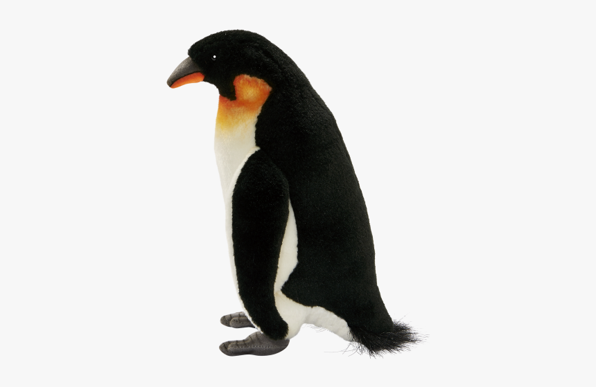 Emperor Penguin Png, Transparent Png, Free Download