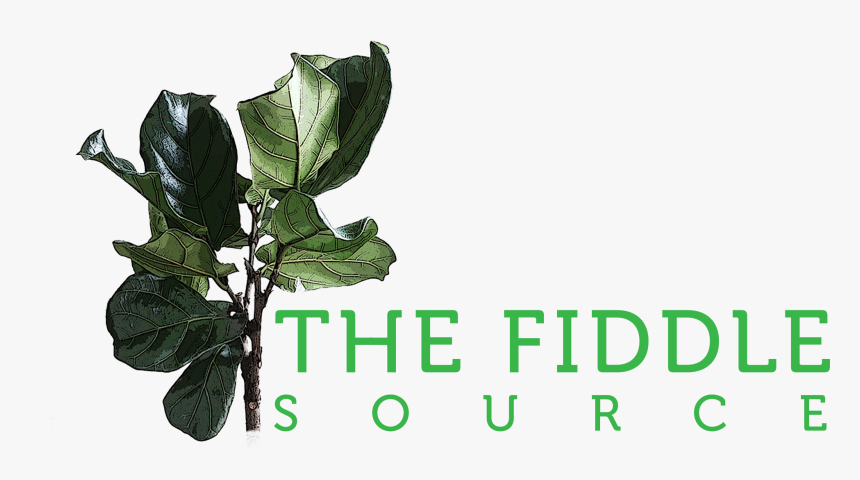 The Fiddle Source, HD Png Download, Free Download