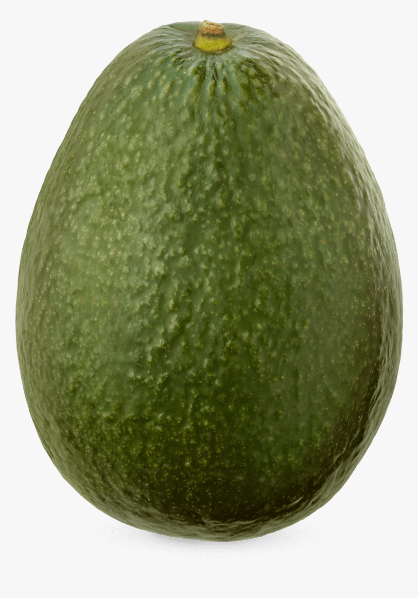 Avocados From Mexico, HD Png Download, Free Download