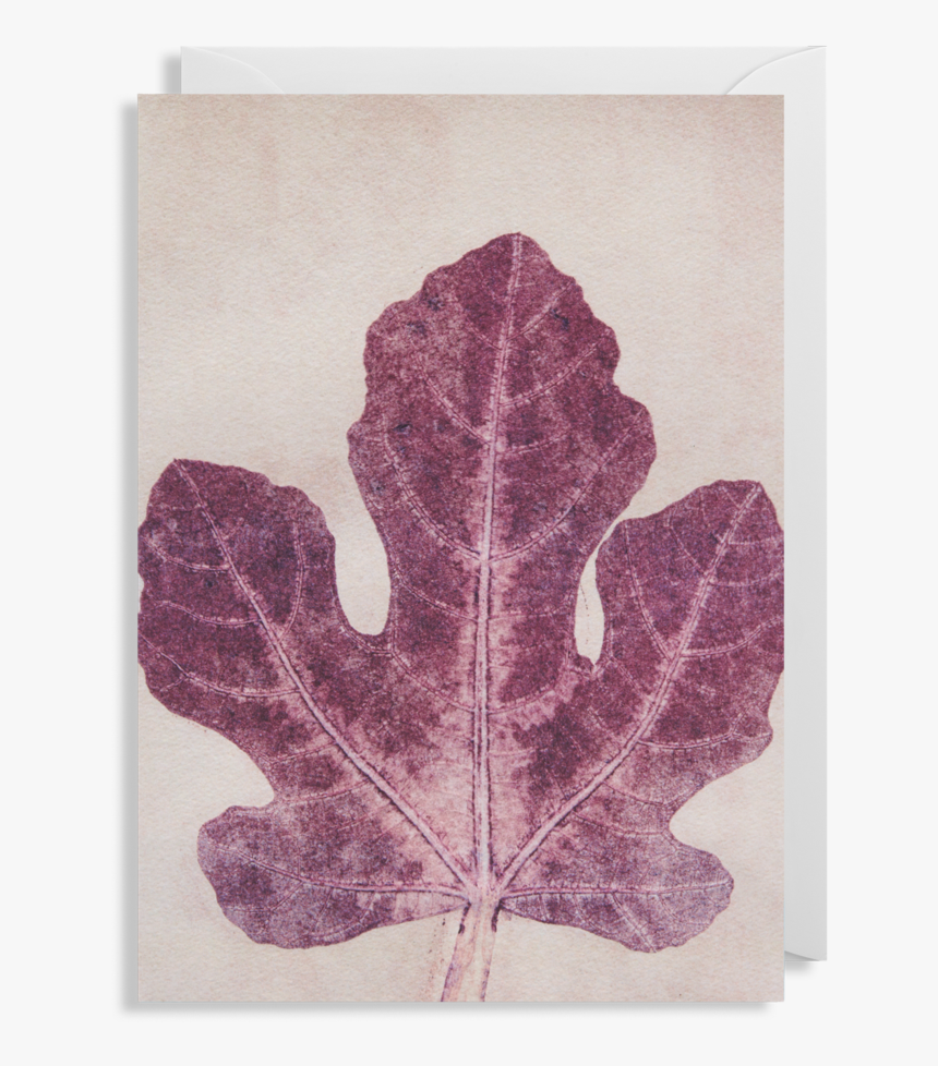 Fig Leaf Png, Transparent Png, Free Download