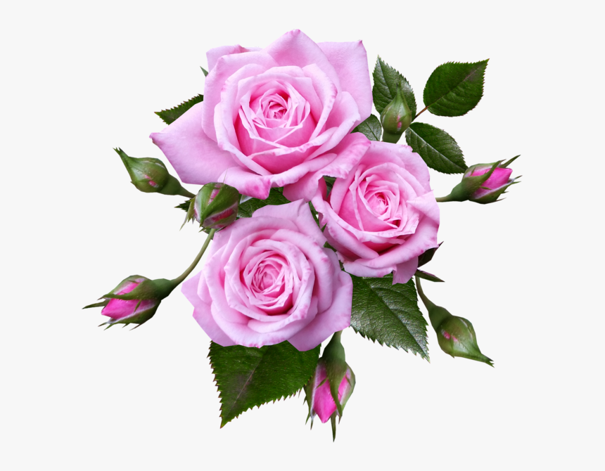 Ramo De Rosas Png, Transparent Png, Free Download