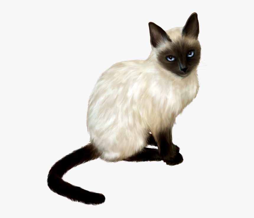 Transparent Gatos Png, Png Download, Free Download