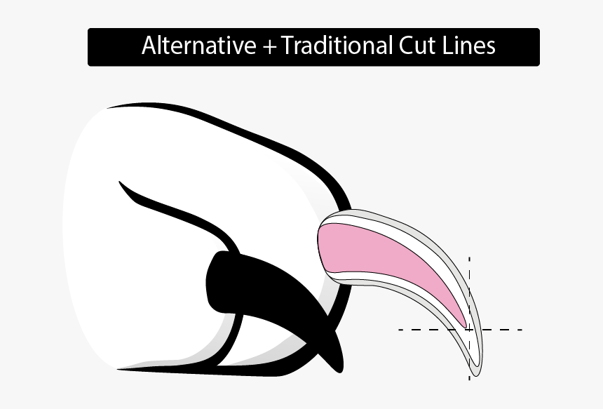 Alternative Cut Line, HD Png Download, Free Download