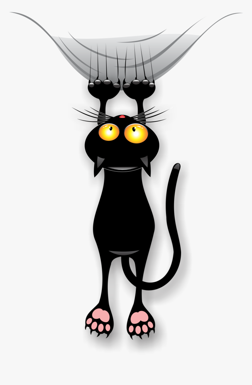 Gatos Png, Transparent Png, Free Download