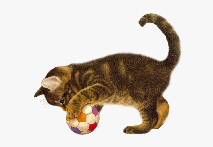 Gatos Png, Transparent Png, Free Download