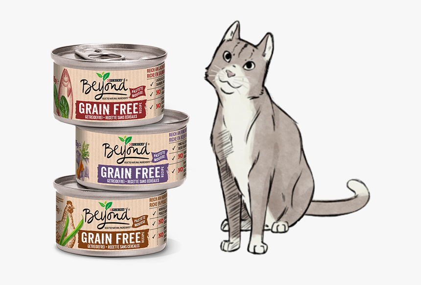 Gatos Png, Transparent Png, Free Download