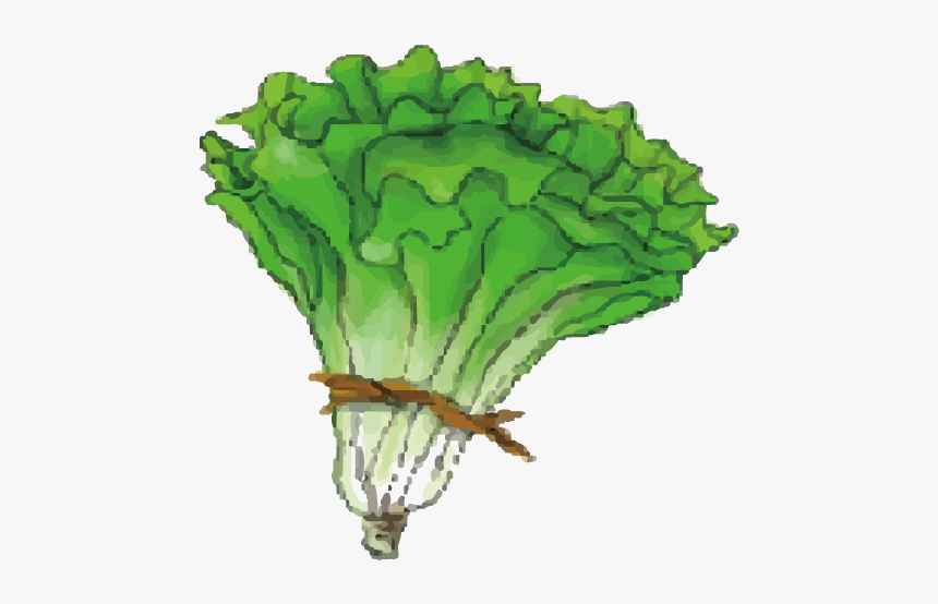 Lettuce Cartoon Png, Transparent Png, Free Download