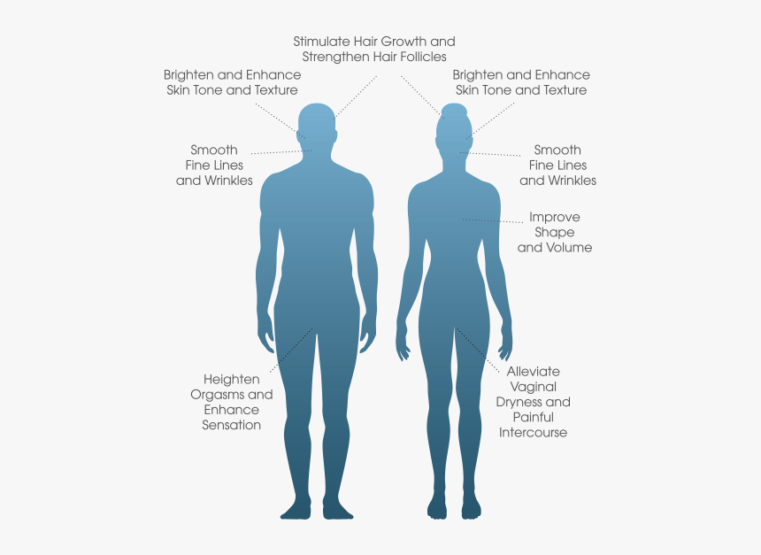Person Standing Png Back, Transparent Png, Free Download