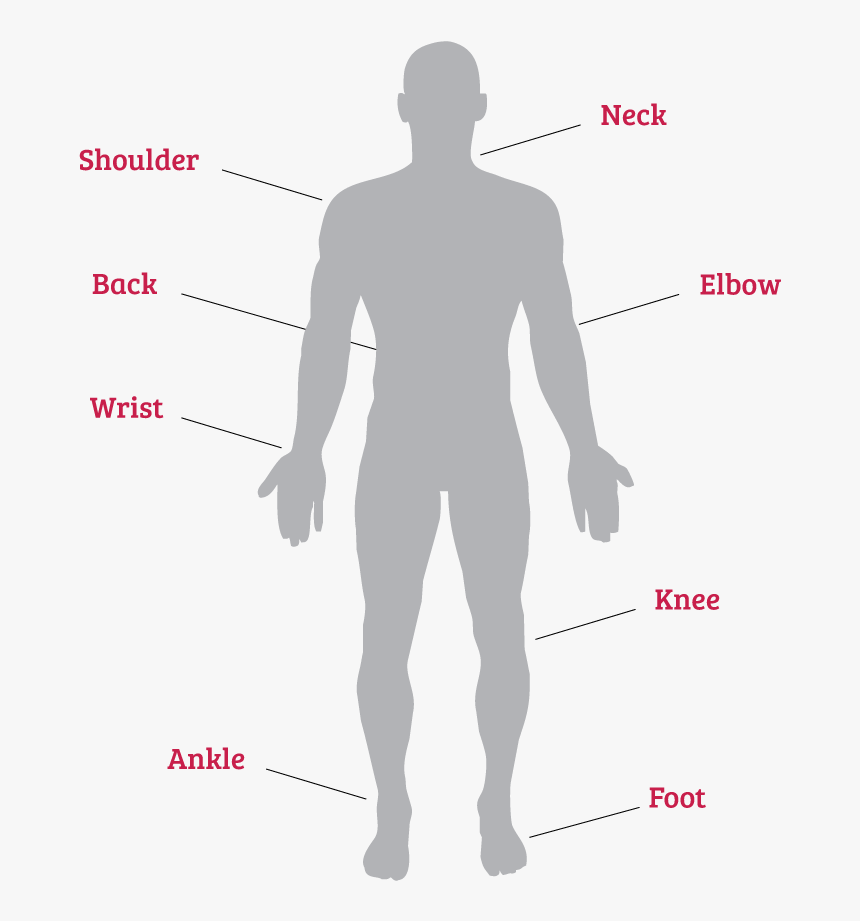 Orthopedics Body Links, HD Png Download, Free Download