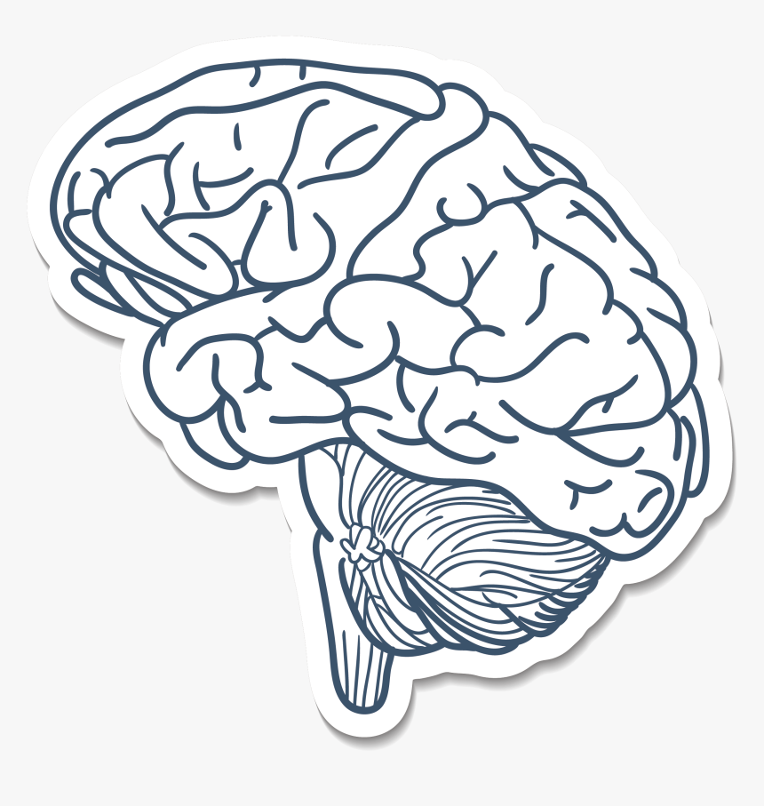 Bulb Drawing Brain, HD Png Download, Free Download