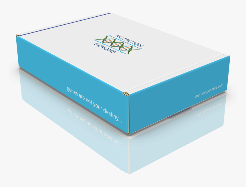 Saliva Png, Transparent Png, Free Download