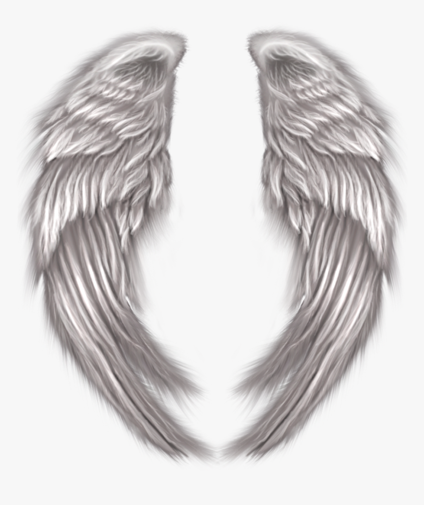 Alas De Angel Png, Transparent Png, Free Download