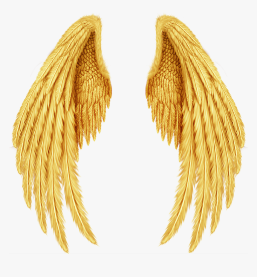 Золотые крылья 2