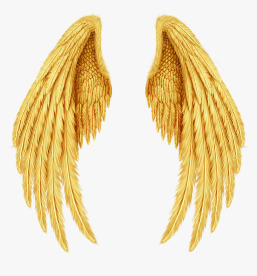 #wings #alas #gold #golden #doradas #oro #angel #guardian, HD Png Download, Free Download