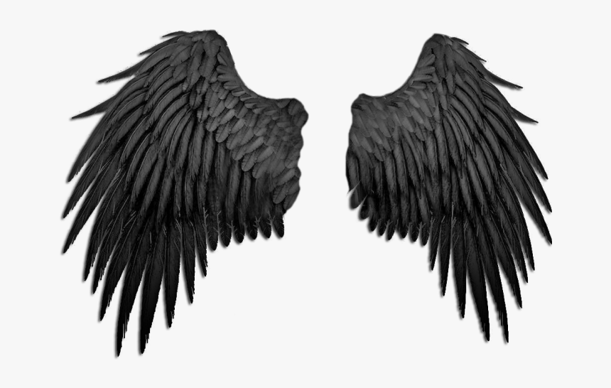 #alas #angel #nebulosa #negro #blackandwhite #ave #bird, HD Png Download, Free Download