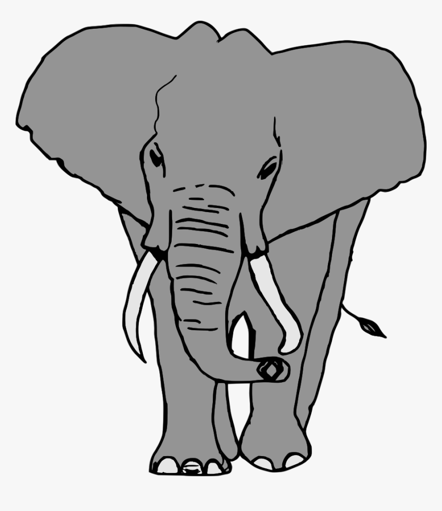 Elefante, HD Png Download, Free Download