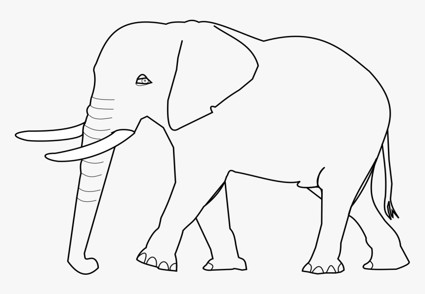 Elefante Png, Transparent Png, Free Download