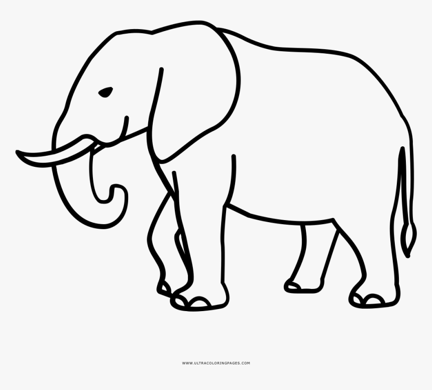 Elephant Coloring Page, HD Png Download, Free Download