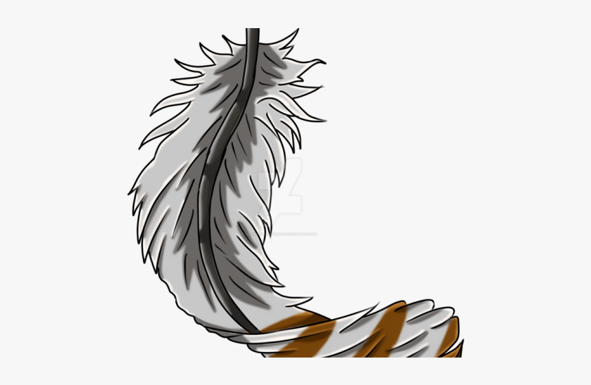 Feather Clipart Png, Transparent Png, Free Download