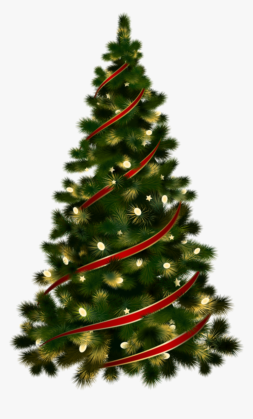 Real Christmas Tree Transparent Background, HD Png Download, Free Download